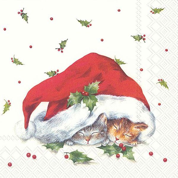 Cats Cuddle under a santa hat Napkins