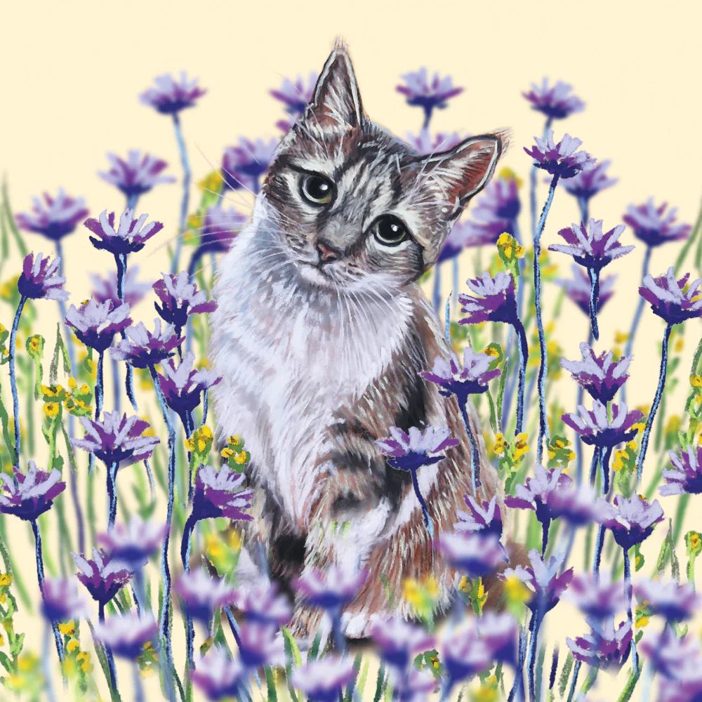Tabby Cat Art Greetings Card, The Cat Gallery