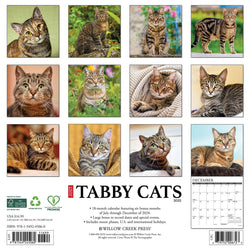 Tabby Cats 2025 Wall Calendar