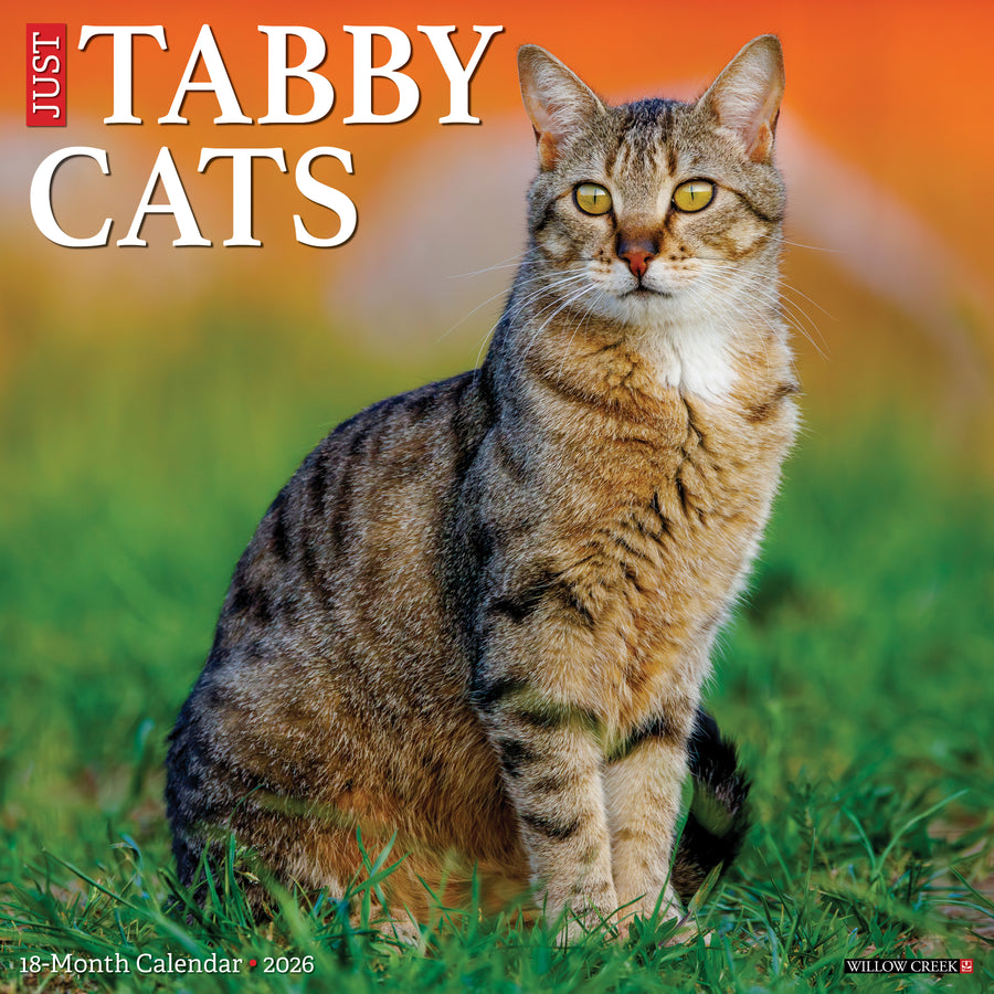 Tabby Cats 2026 Wall Calendar
