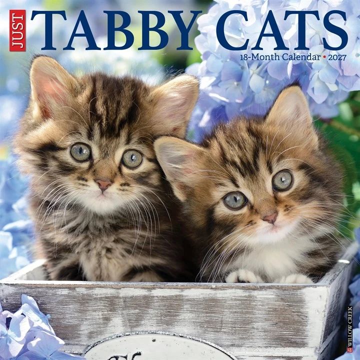 Tabby Cats 2027 Wall Calendar