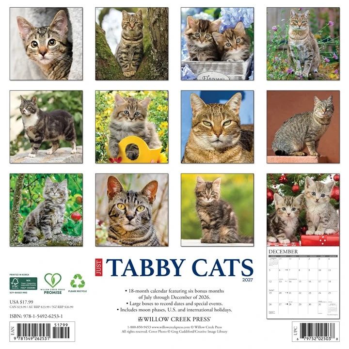 Tabby Cats 2027 Wall Calendar