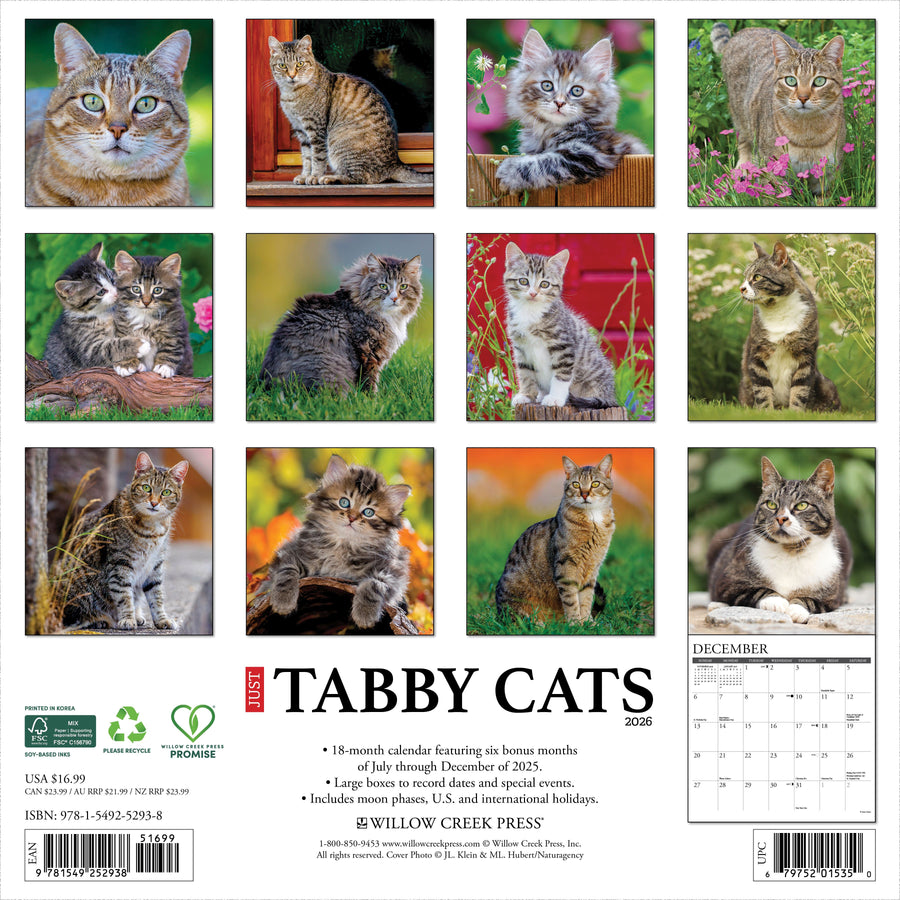 Tabby Cats 2026 Wall Calendar