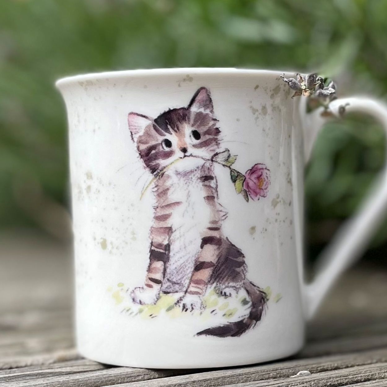 Taza Paper Shed Tabby Rose Cat