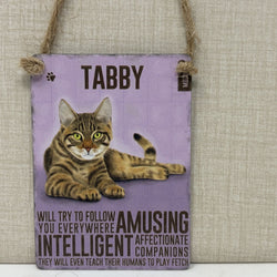A rectangular hanging sign with a lavender background, featuring a painted tabby cat and the name 'TABBY', with humorous text about an intelligent affectionate companion. 