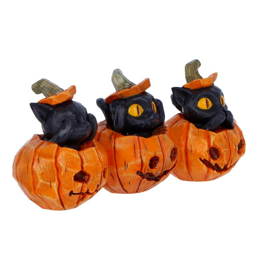 Three black cats inside orange pumpkins with jack-o'-lantern faces on a white background