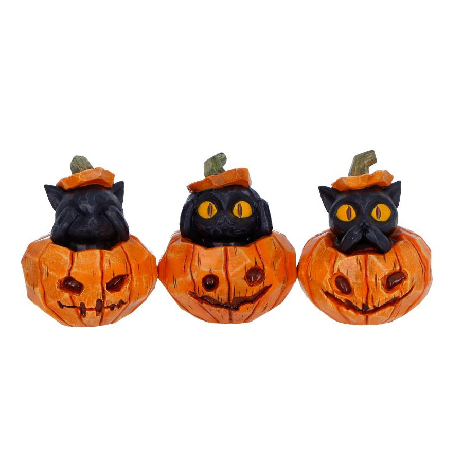 Three Halloween-themed cat figurines inside pumpkins on a white background