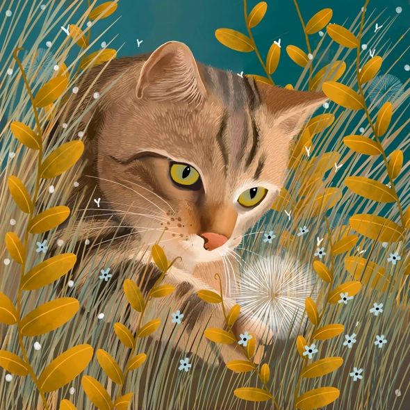 Tiger the Cat Greetings Card, Caroline Smith, The Cat Gallery