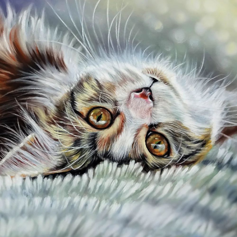 Tortoiseshell Cat Art Greetings Card