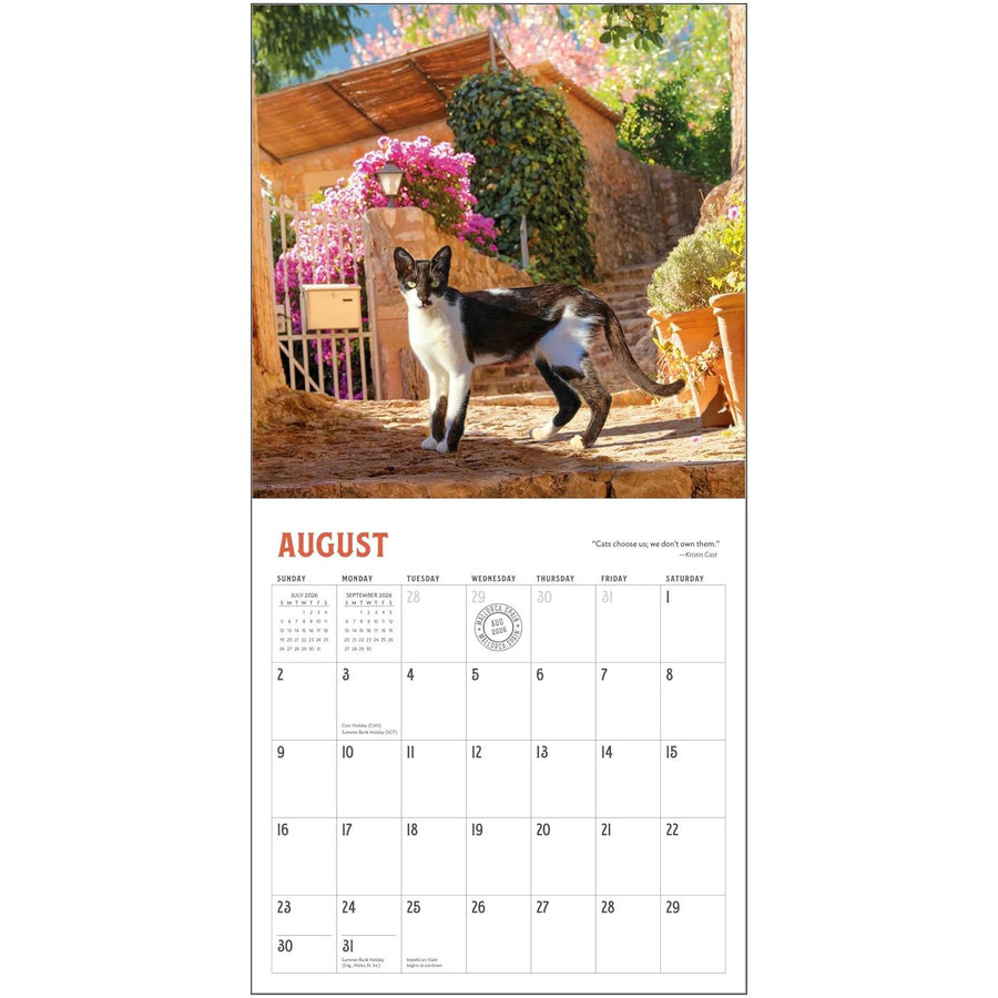 Travel Cats 2026 Wall Calendar