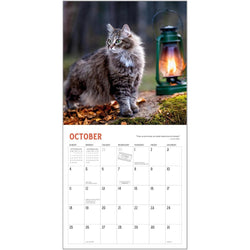 Travel Cats 2026 Wall Calendar