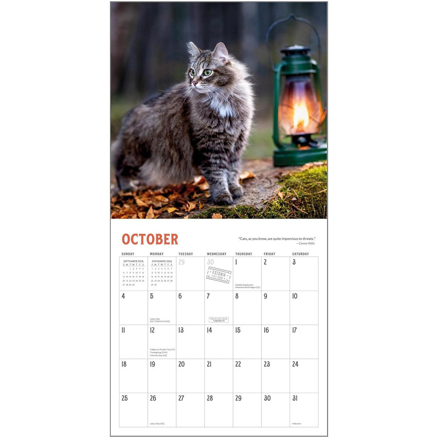 Travel Cats 2026 Wall Calendar