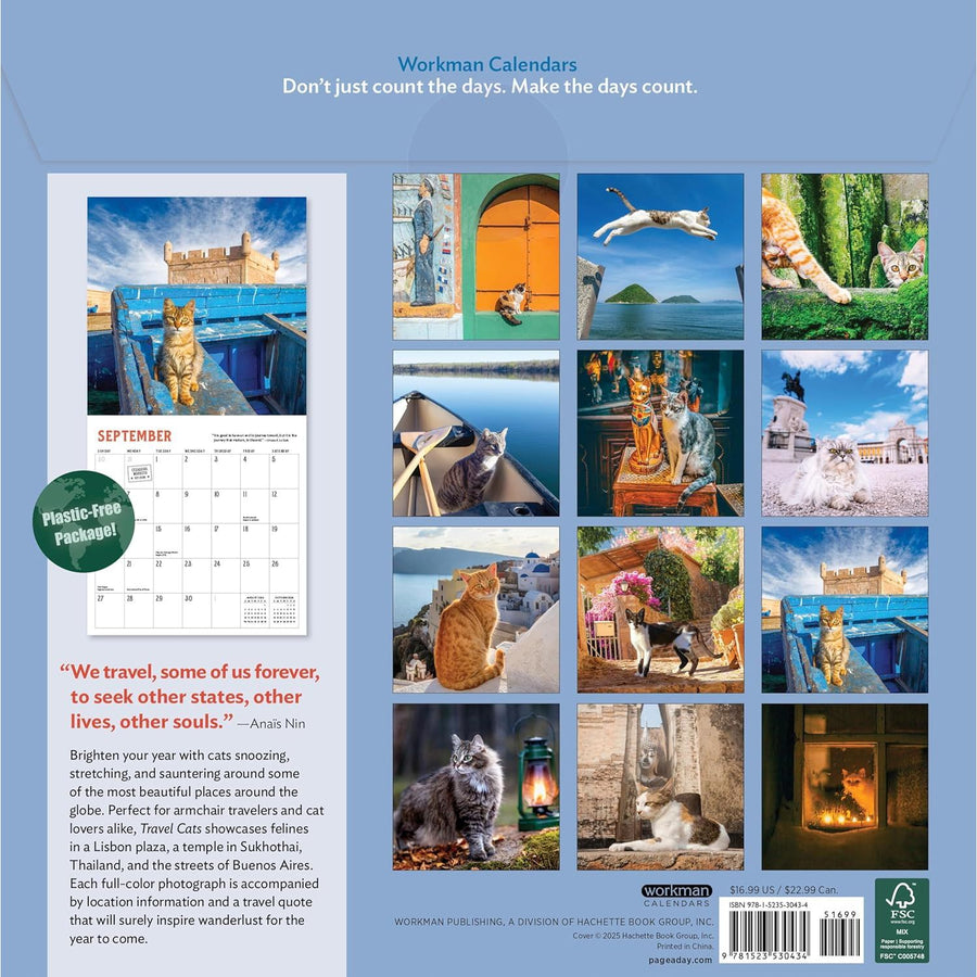 Travel Cats 2026 Wall Calendar