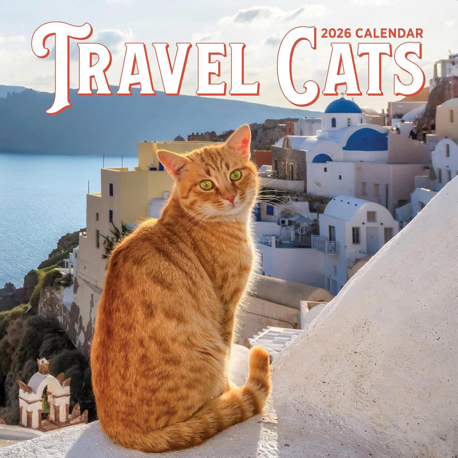 Travel Cats 2026 Wall Calendar