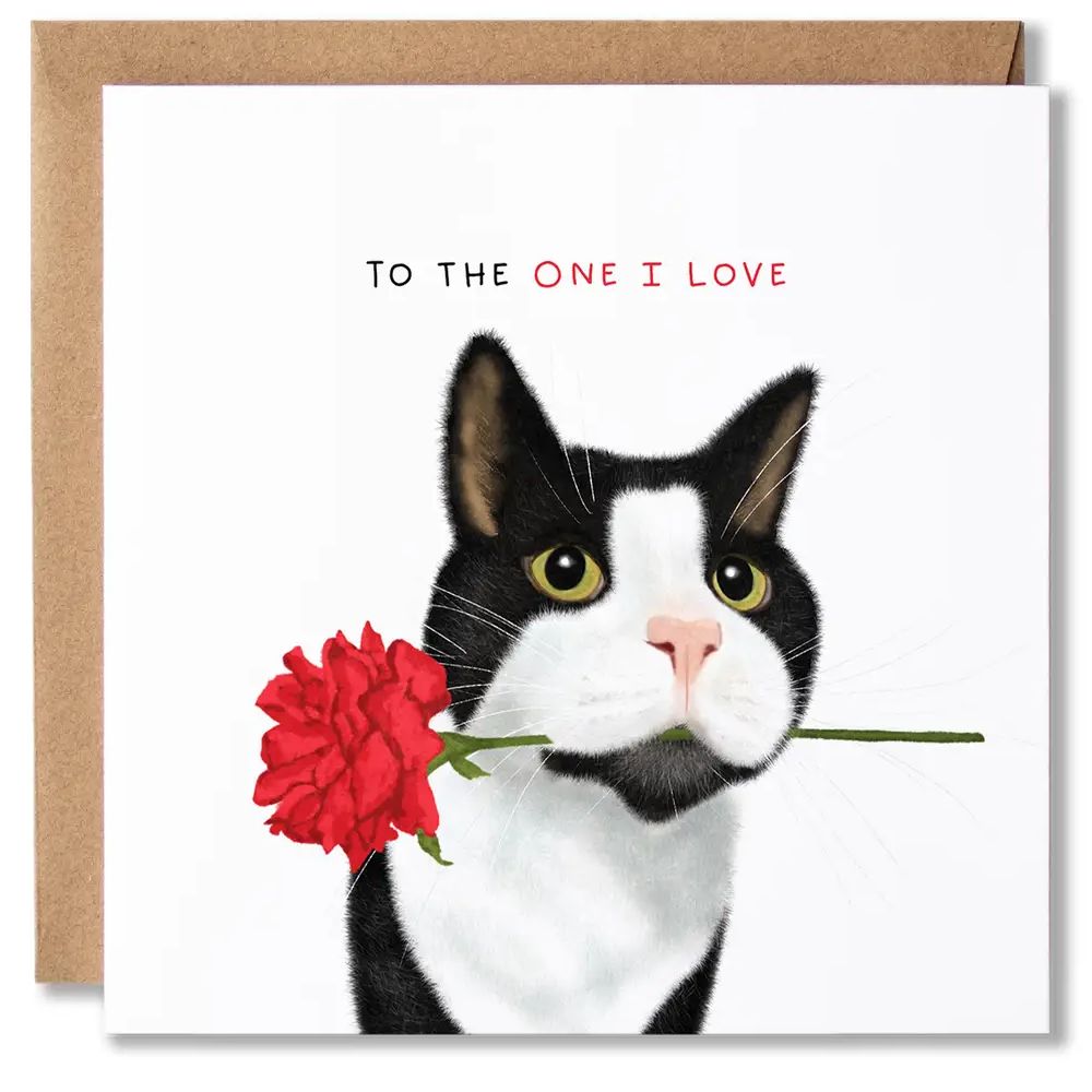 Tuxedo Cat Red Rose Valentines Card