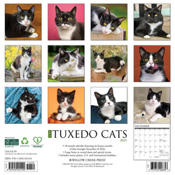 Tuxedo Cats 2025 Wall Calendar