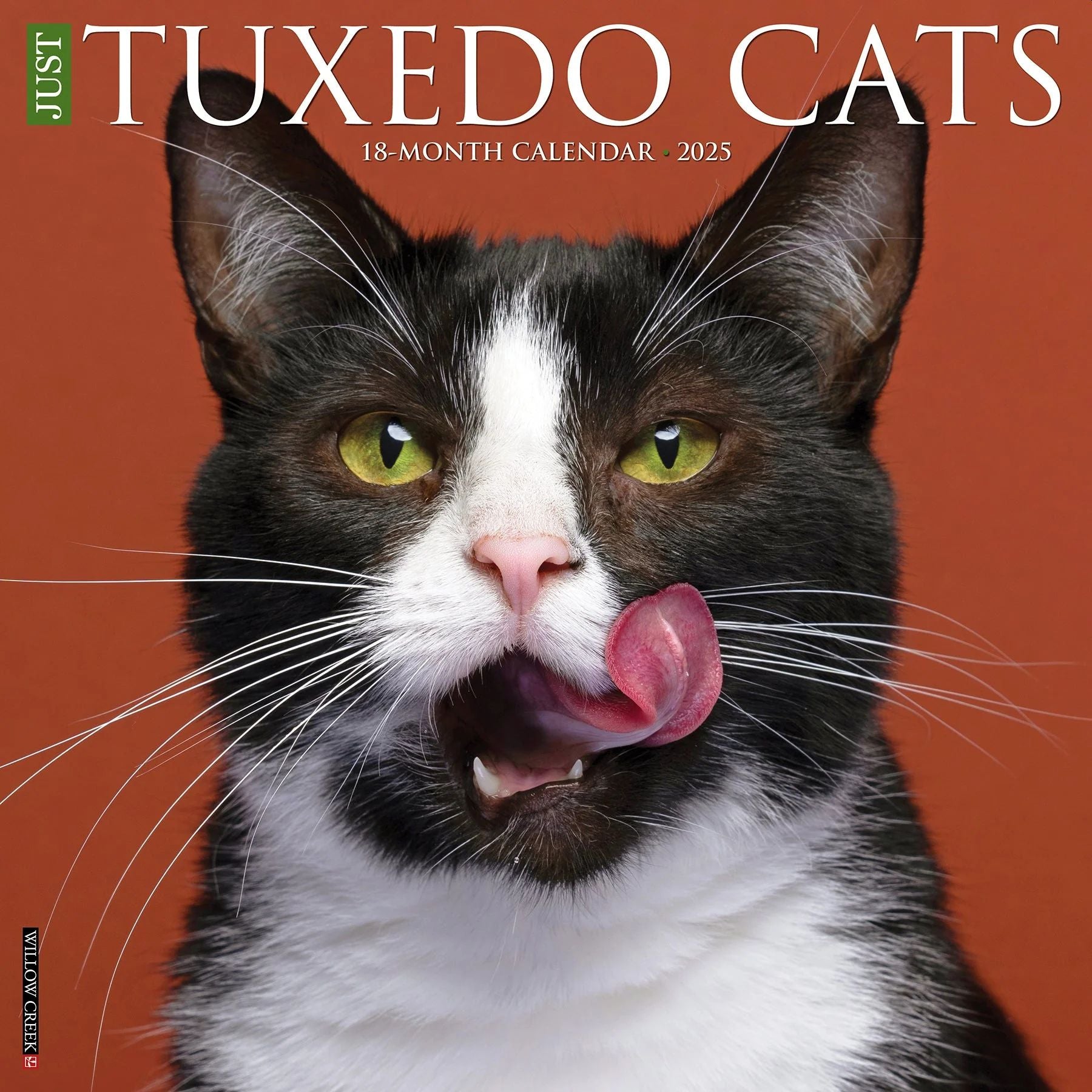 Tuxedo Cats 2025 Wall Calendar