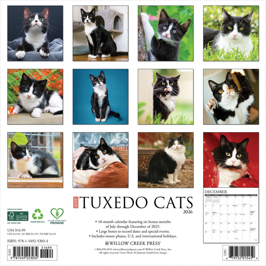 Tuxedo Cats 2026 Wall Calendar