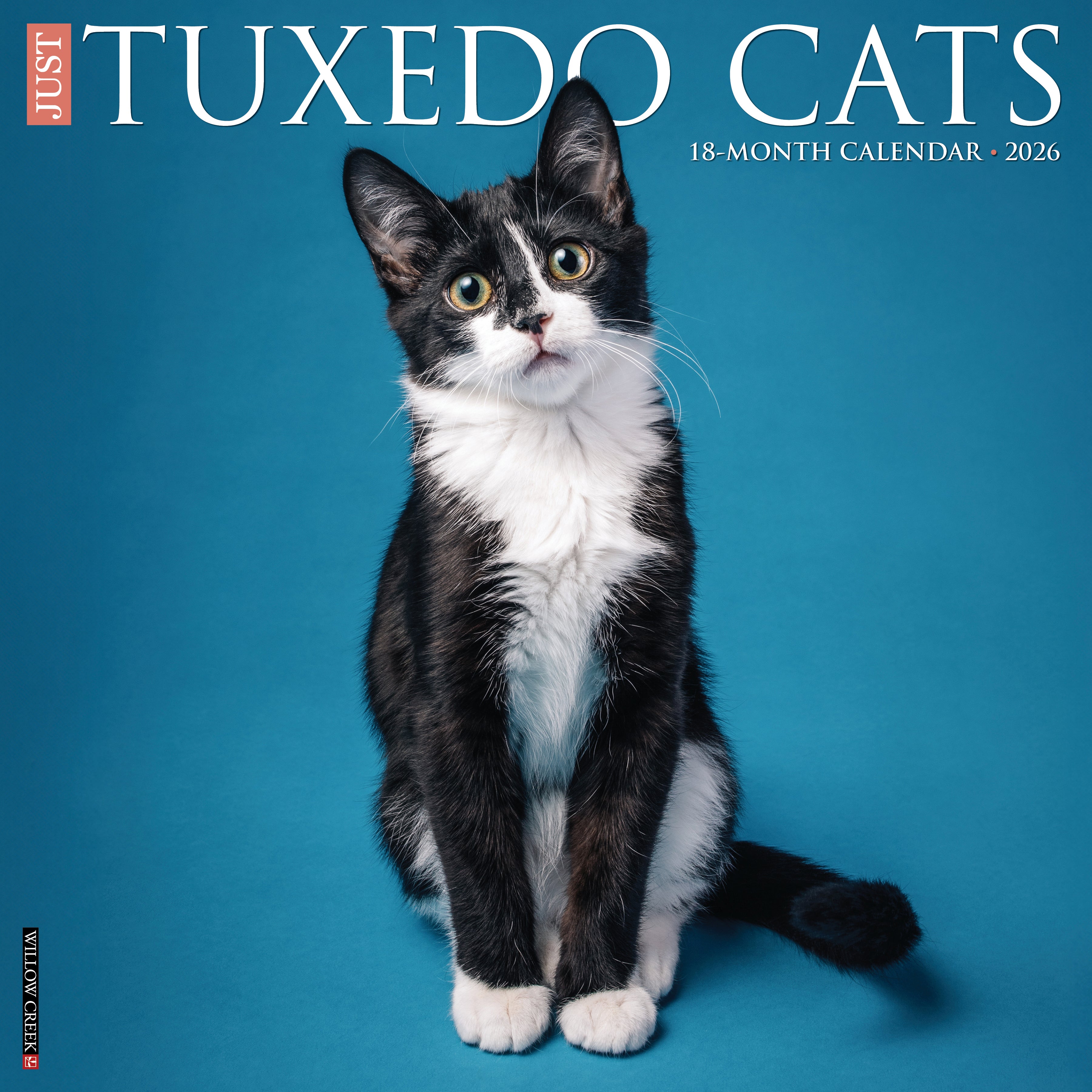 Tuxedo Cats 2026 Wall Calendar