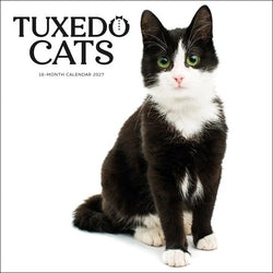 Tuxedo black and white cat on a calendar cover for 2027 with 'Tuxedo Cats' text