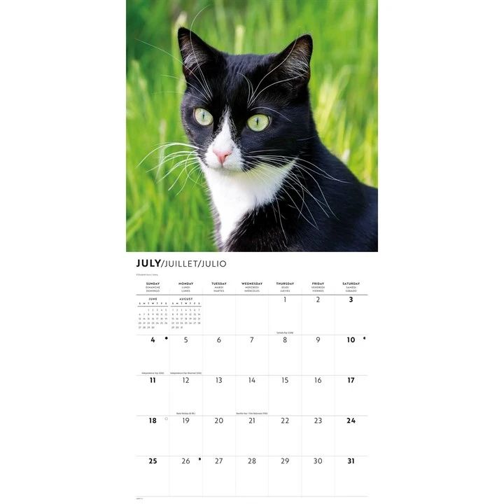 Calendar page for July 2027 with a black and white cat in grass and space to note daily engagements