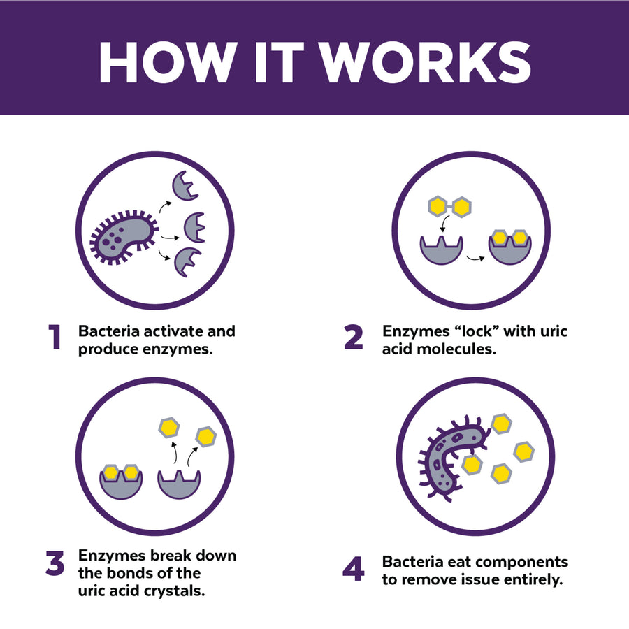 Diagram explaining How Urine Off works with four steps labeled 'How It Works' on a purple background.