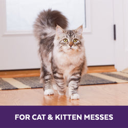 Cat standing on a wooden floor with text 'FOR CAT & KITTEN MESSES' at the bottom.