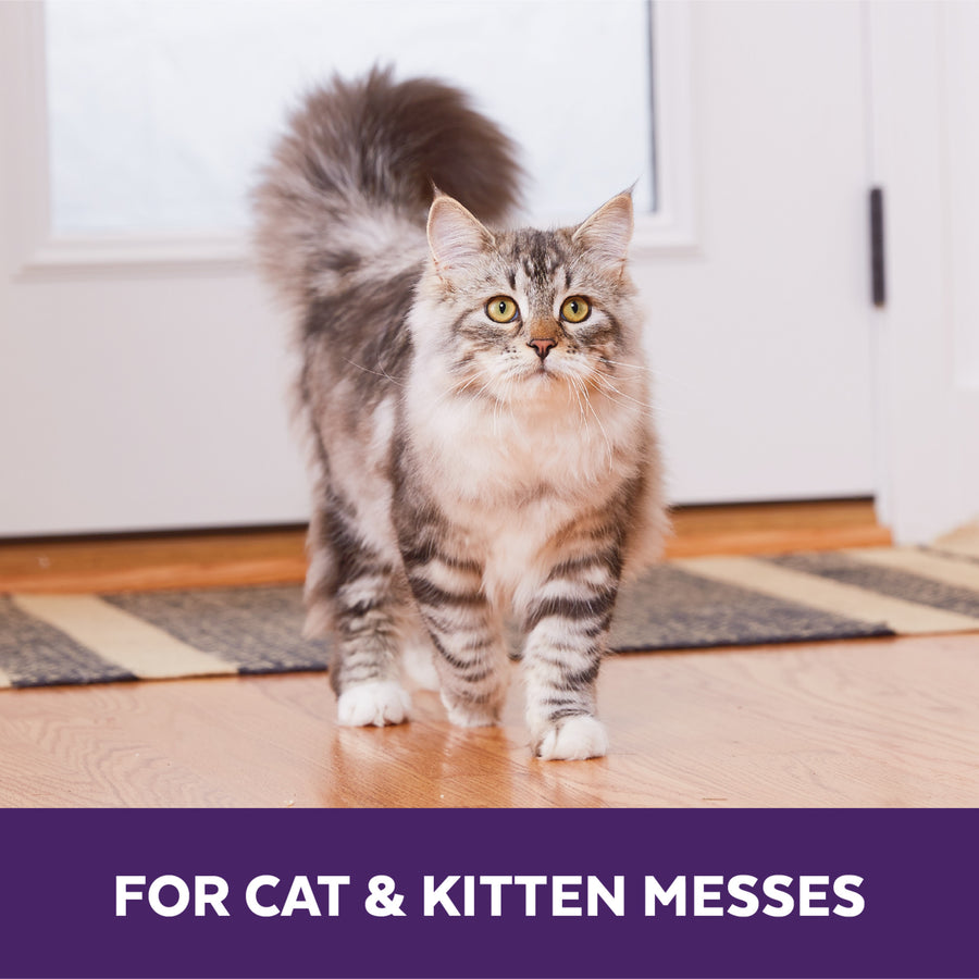 Cat standing on a wooden floor with text 'FOR CAT & KITTEN MESSES' at the bottom.