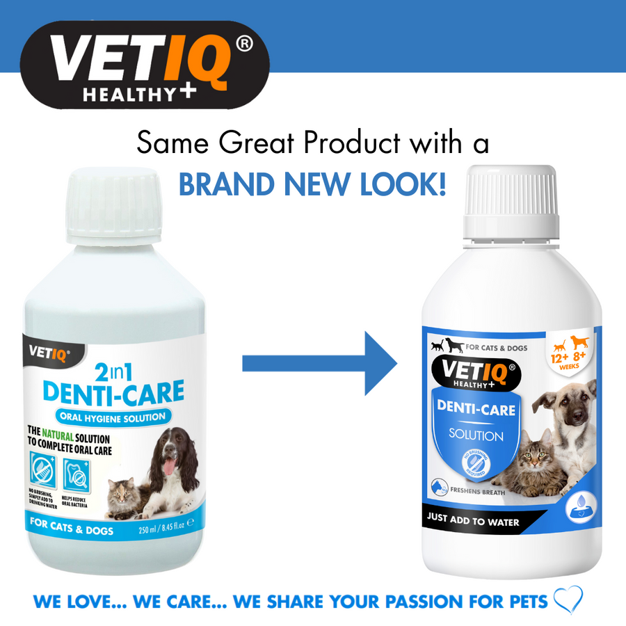 VETIQ Healthy+ 2 in 1 Denti-Care oral hygiene solution bottles shown side by side with a blue arrow between them, on a white background with the VETIQ brand logo at the top.