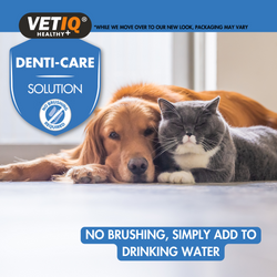 VETIQ Healthy+ Denti-Care Solution pet dental care graphic featuring a golden retriever and a grey cat lying together on a floor, with blue text overlays explaining the product and a badge indicating no brushing is required.