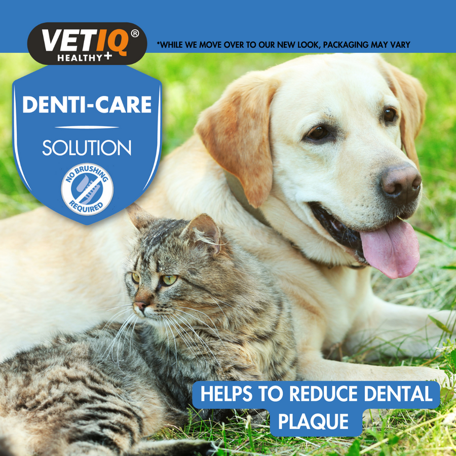 VETIQ Healthy+ Denti-Care Solution with cat and dog on grass. Text at the bottom says 'HELPS TO REDUCE DENTAL PLAQUE'.