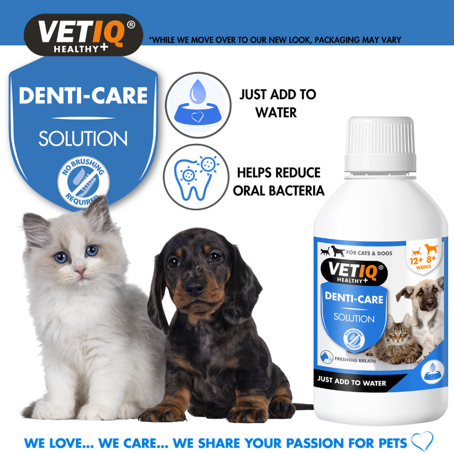 VETIQ Healthy+ Denti-Care Solution for pets, showing you just add it to a pet's water and that it helps reduce oral bacteria
