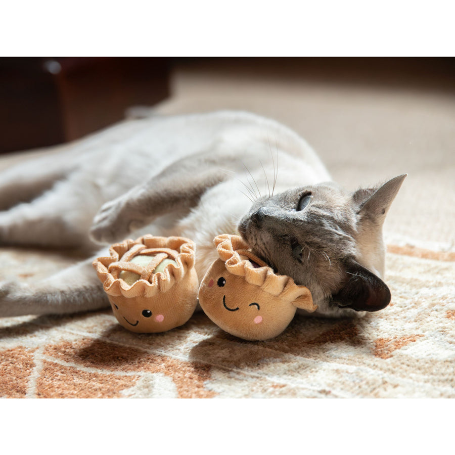 Cat playing with two plush toy pies on a patterned surface