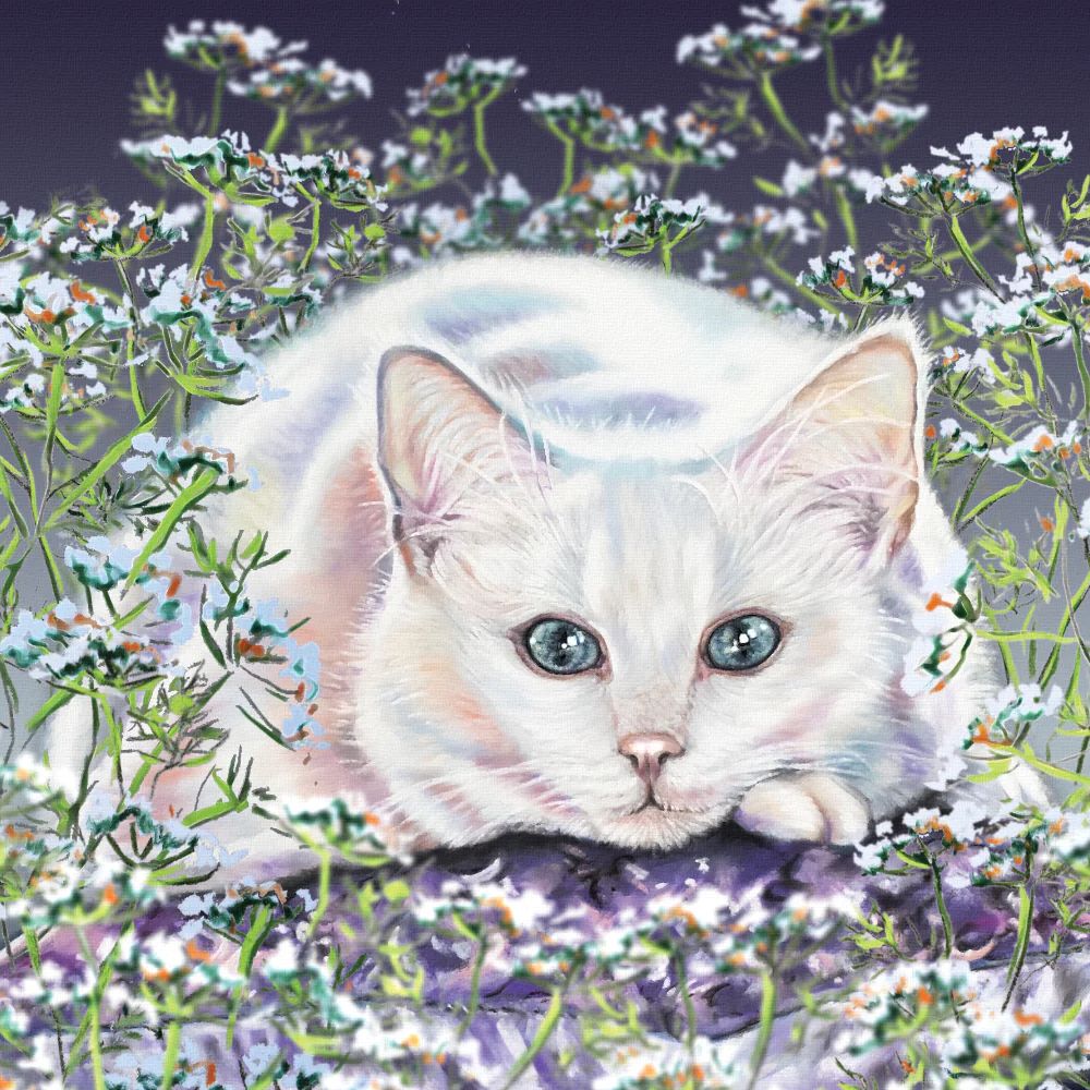 White Cat Art Greetings Card, The Cat Gallery