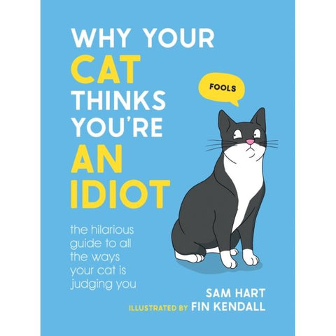 Understanding Cats Books
