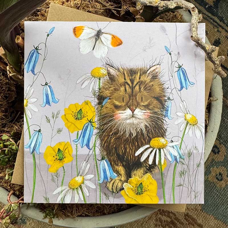 Willow Cat Card, by Alex Clark