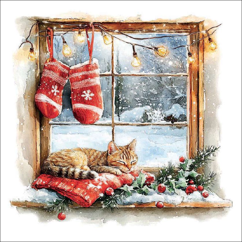Pack of napkins featuring a ginger Cat sleeping on a windowsill with Christmas decorations and stockings.