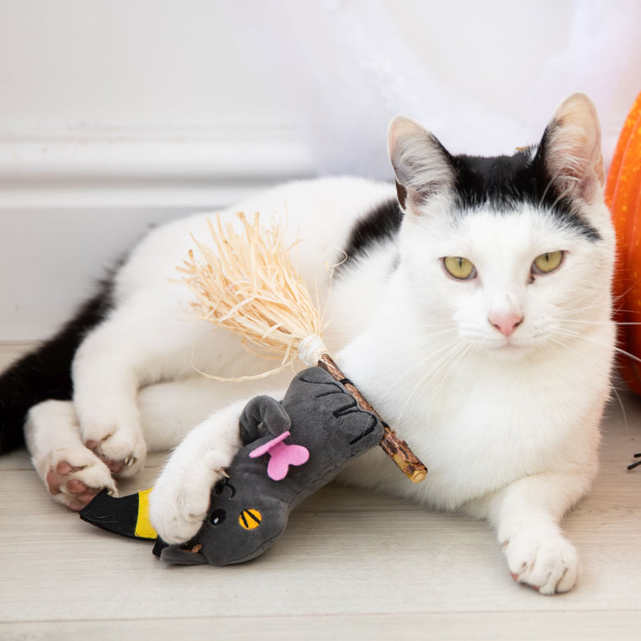 A black and white cat lies on a light wood floor, holding a small plush bat toy with a straw broom attached.