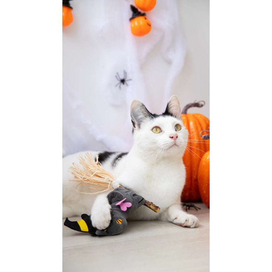 A white cat with black patches lies on a light floor in a Halloween-themed setting, holding a small grey bat toy with a pink bow and straw accessory. 