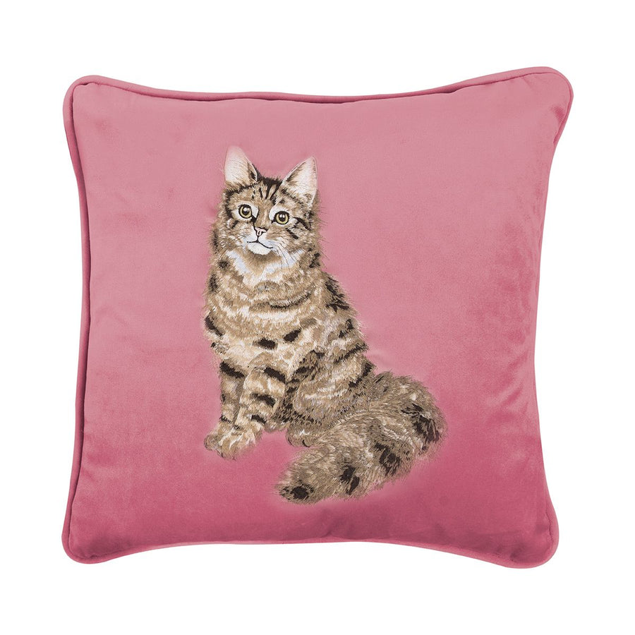 Feline Fabulous Cat Embroidered Cushion