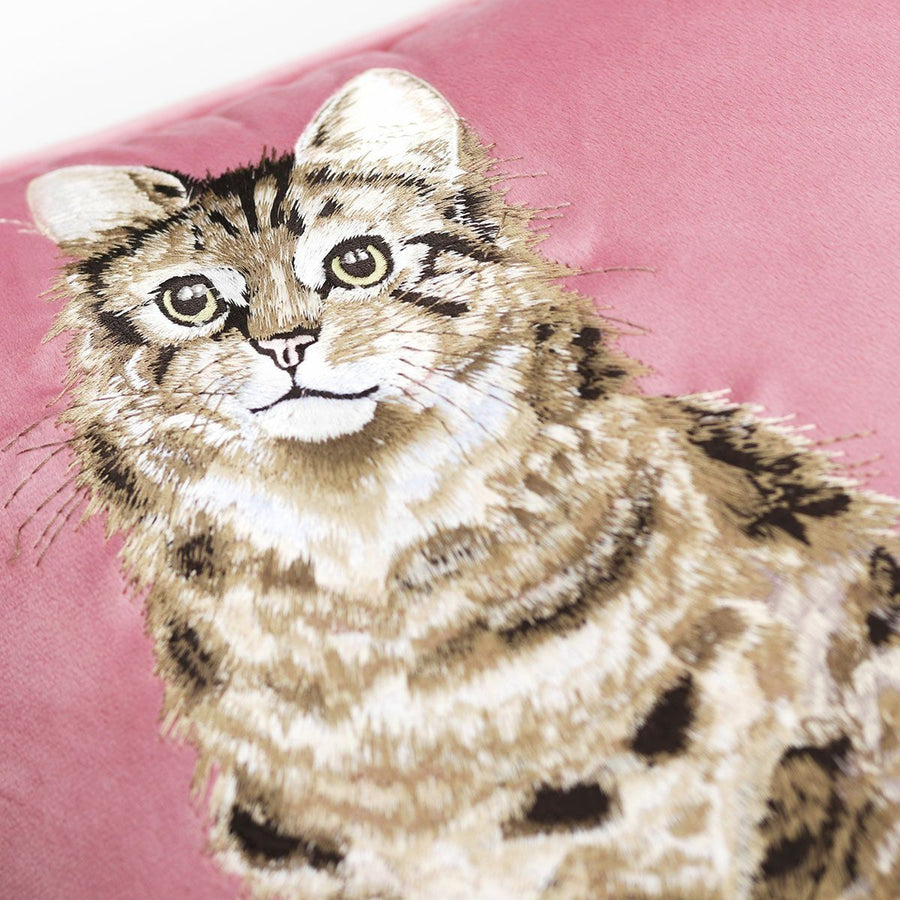 Feline Fabulous Cat Embroidered Cushion