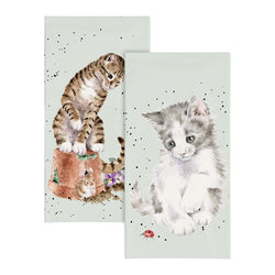 Wrendale Cat Tissues 4-Pack