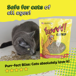 Yeowww catnip pouch - safe for cats of all ages