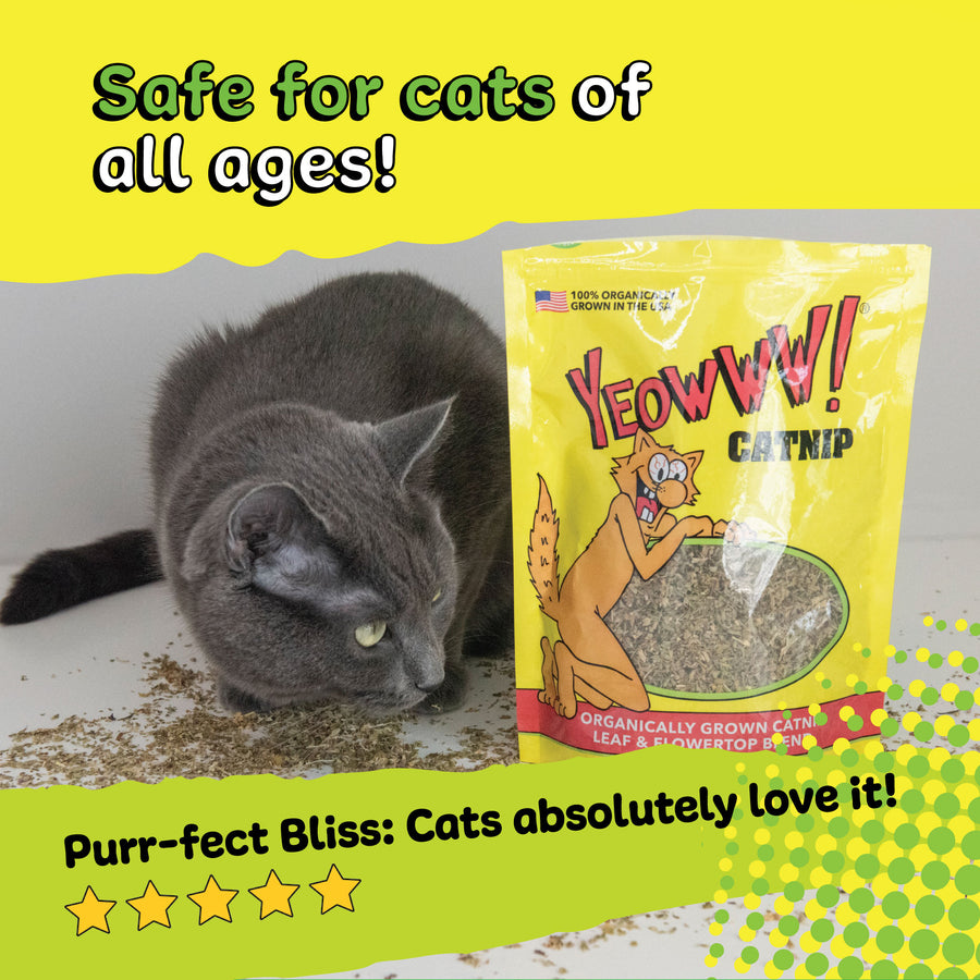 Yeowww catnip pouch - safe for cats of all ages