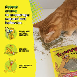 Cat playing with a bag of catnip next to text describing its benefits