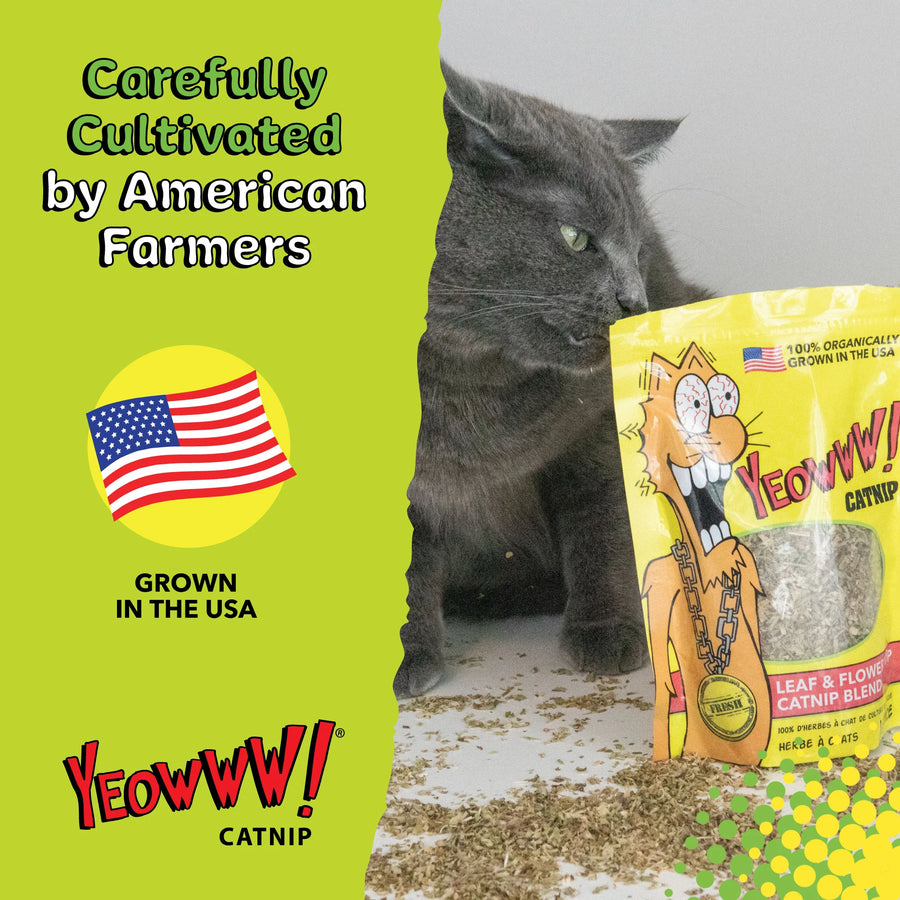 Yeowww! catnip packet with cat and text saying carefully cultivated by American farmers