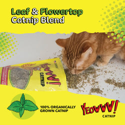 Cat with bag of Yeowww catnip and text saying it is 100& organically grown