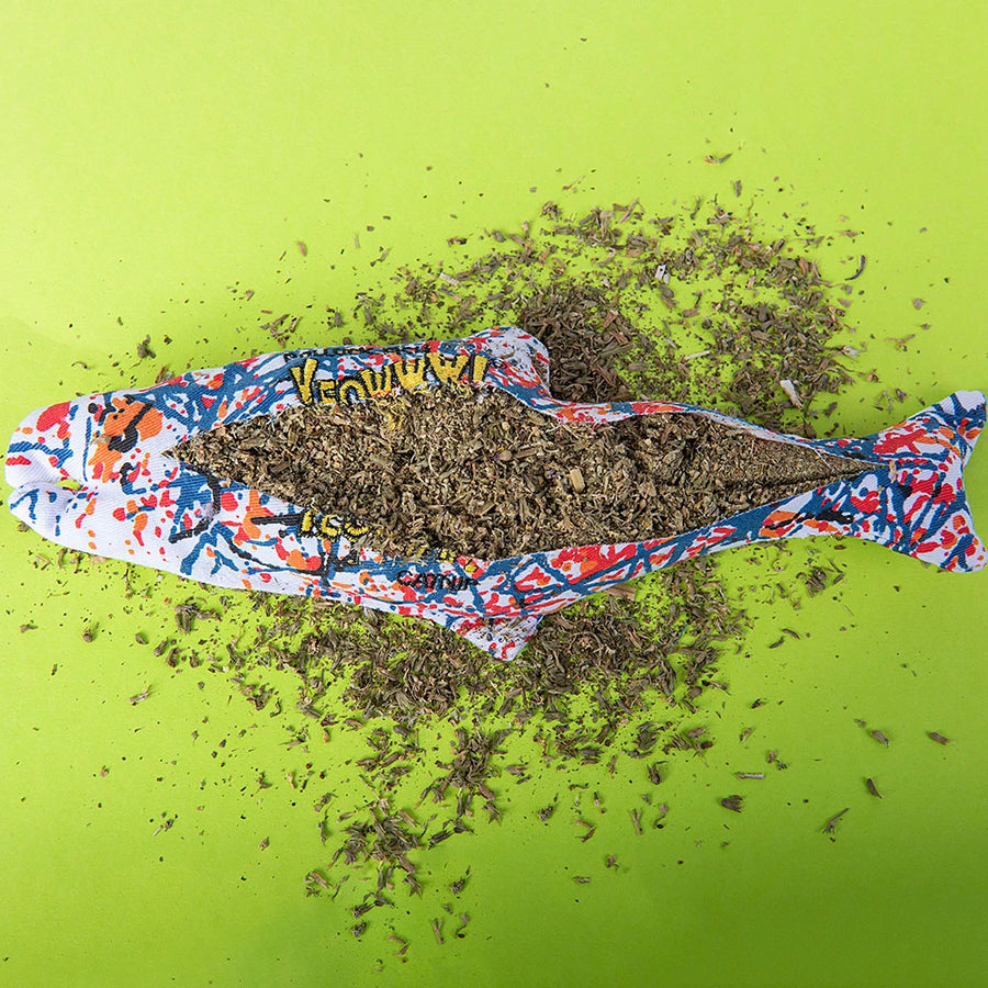 Yeoowww catnip pollock fish cut open and showing it is stuffed with only top grade North American catnip