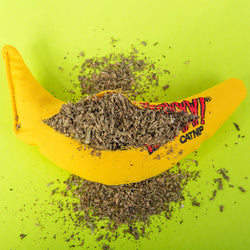 Yeowww catnip banana cut open to reveal it is packed with catnip