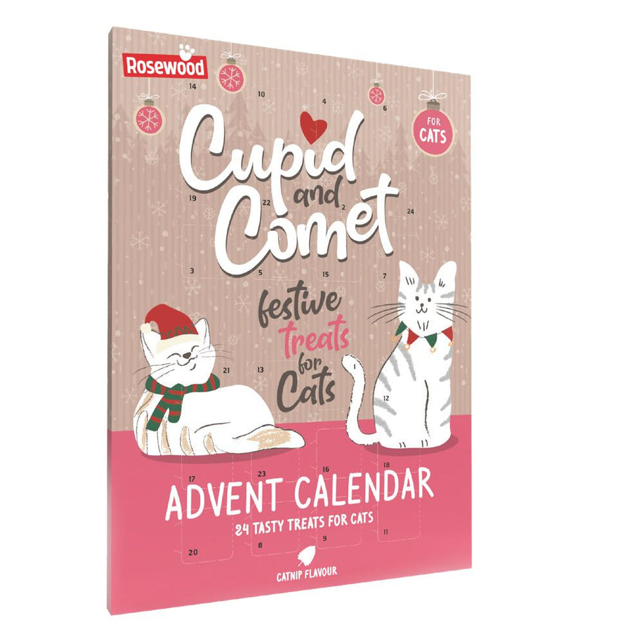Advent Calendar for Cats